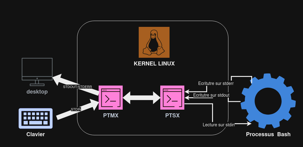 Pseudo Terminal Master / Pseudo Terminal Slave